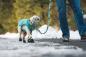 Preview: Ruffwear Front Range Leash Sweeping Sage
